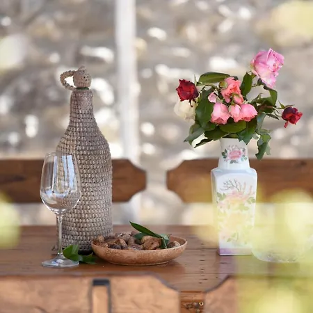 Βίλα Palace Zadarvillas